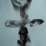 image of mushroom spore print in the shape of an ankh