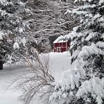 Red house in snowy landscape, framed by snow-covered trees in foreground