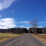 Road leading off into the distance, with blue sky with wispy clouds in the top of the image