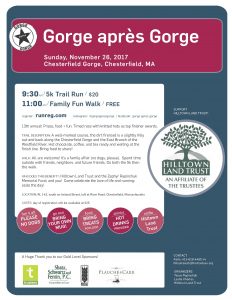 Poster for Gorge apres Gorge 2017