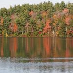 Autumn trees and evergreen trees, and their reflection in the water