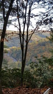 Trees and autumn leaves, with scenic view of rolling hills with autumn colors in background