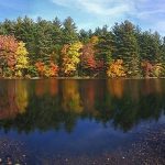 Lake with autumn trees in background, reflection of trees and blue sky in water