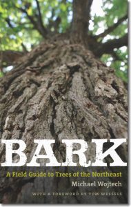 Image of cover of Michael Wojtech's book Bark: A Field Guide to the Trees of the Northeast. Image on cover is a close-up image of a tree trunk, angled up into the tree canopy.