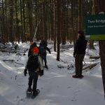 A line of people in the woods, snowshoeing on a trail. A sign in the foreground reads "Chapel Brook."