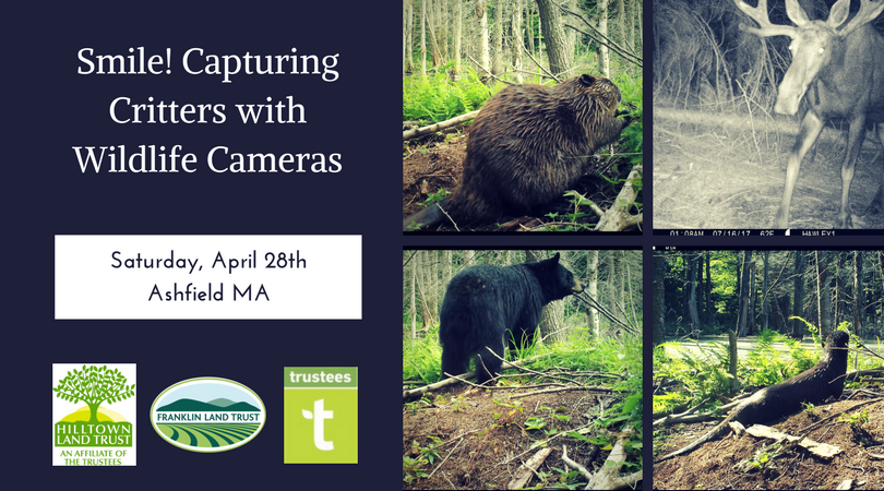 Banner image with the title of workshop, date and place of workshop, and logos for Hilltown Land Trust, Franklin Land Trust, and The Trustees. Also has wildlife camera images of a beaver, moose, bear, and otter in a grid on the right side of banner.