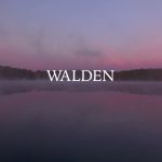 Promotional image depicting sunset over Walden pond, with the word "Walden" written in capital letters overlaid.