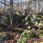 Moss-covered rocks on a forest hillside, covered in fallen deciduous tree leaves