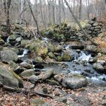 Rock piles show the remnants of an old dam aside a stream in a wooded landscape.