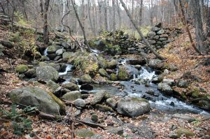 Rock piles show the remnants of an old dam aside a stream in a wooded landscape.