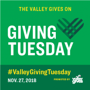 The Valley Gives on Giving Tuesday infographic