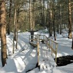 Wooden bridge over a stream in the woods. Snow is covering the ground and a person standing at the far end of the bridge has their arms raised in celebration