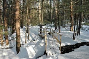 Wooden bridge over a stream in the woods. Snow is covering the ground and a person standing at the far end of the bridge has their arms raised in celebration