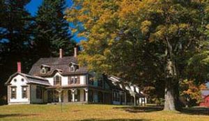 Bryant homestead in early spring with tree out front