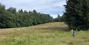 Person shown from behind looking across a field surrounded by trees