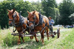 Lincoln rides through a field on Sawyer Farm, on a plow behind his two brown horses. In the background are trees and a small crowd of people watching him demonstrate his farming technique. 