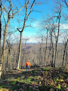 A hiker in orange looks out through leafless trees to the hills beyond.