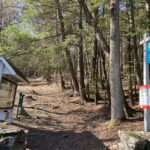 June Hike at Locke's Loop/Petticoat Hill