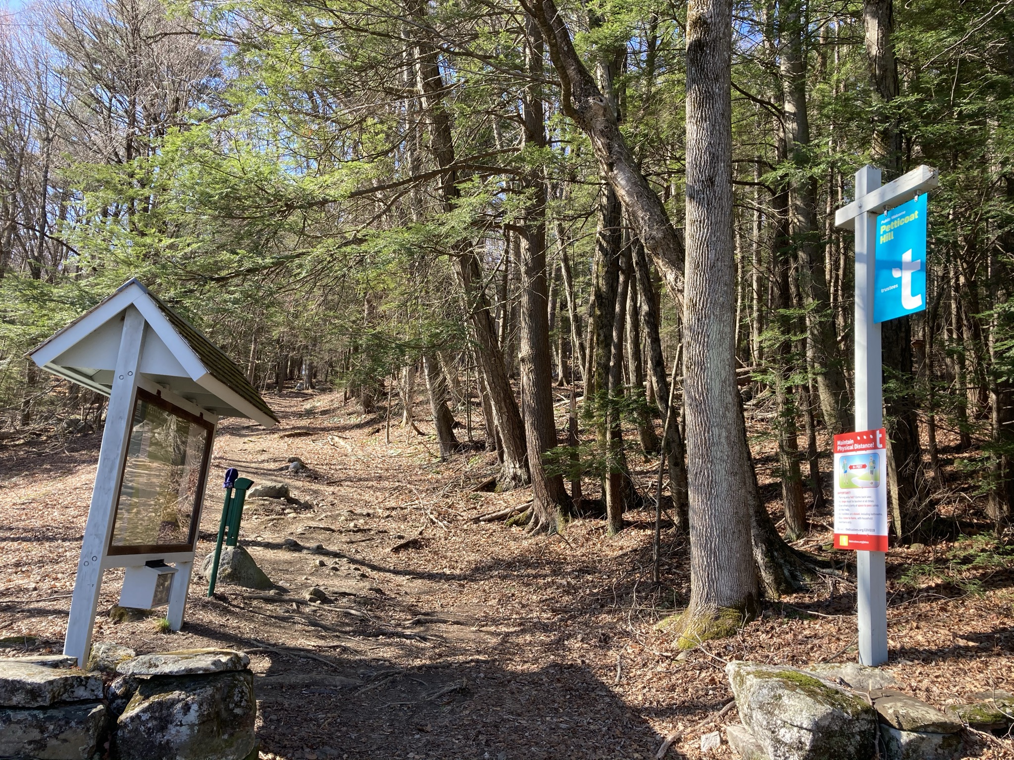 June Hike at Locke's Loop/Petticoat Hill