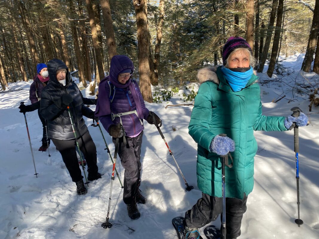 A line of four snowshoers treks through a snowy forest.