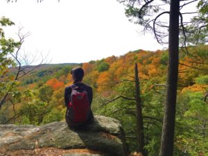 A photo of a person, seen from behind, sitting on a rock and looking out on an autumn landscape.