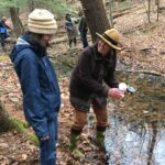 Vernal Pool Plunge - Walk