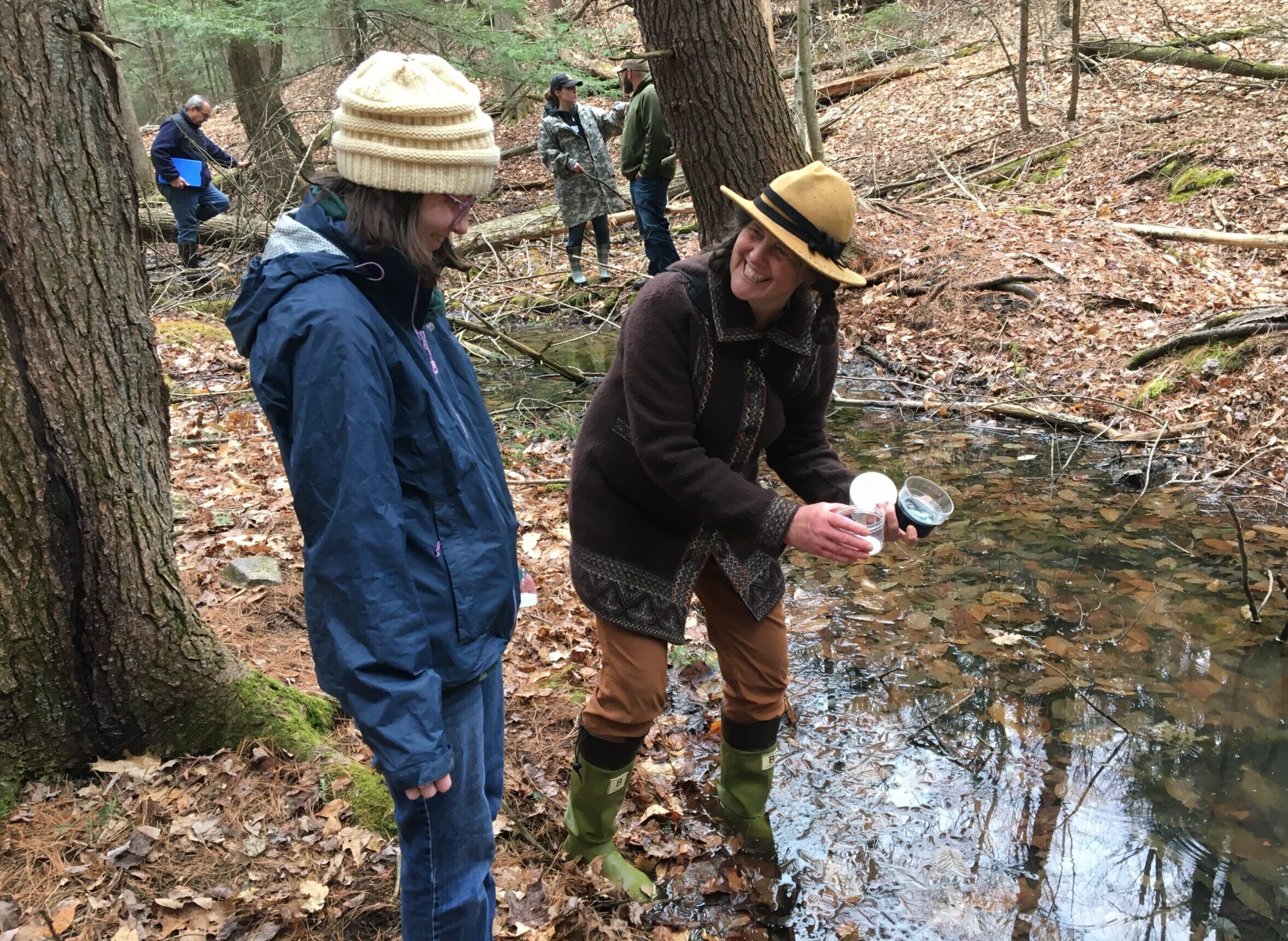 Vernal Pool Plunge - Walk