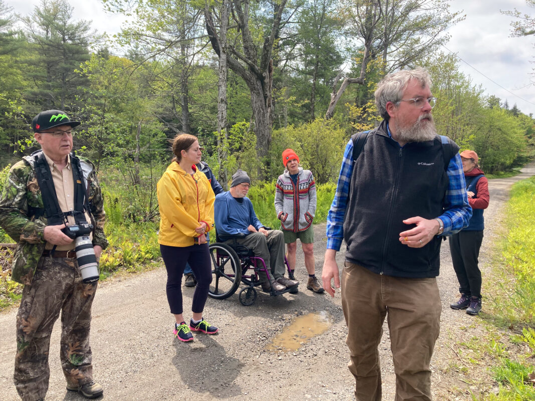 Part of the group is seen from the side. They are standing and seated on a quiet dirt road looking off into the distance at beaver habitat.