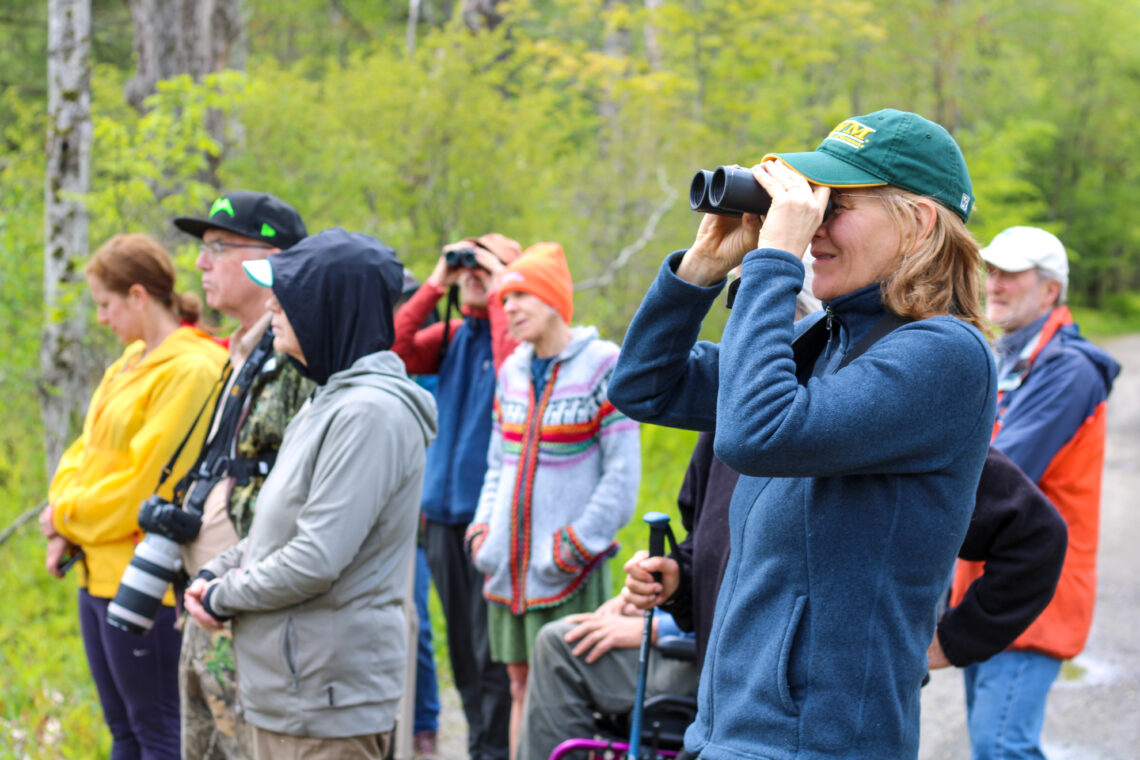 A group of people, some of whom are looking through binoculars, standing and seated at the edge of a beaver meadow.