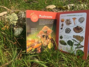 A copy of the Backpack Explorers book, open to a spread filled with photos and illustrations of mushrooms. The book is laid against a mushroom-covered log in a grassy field.