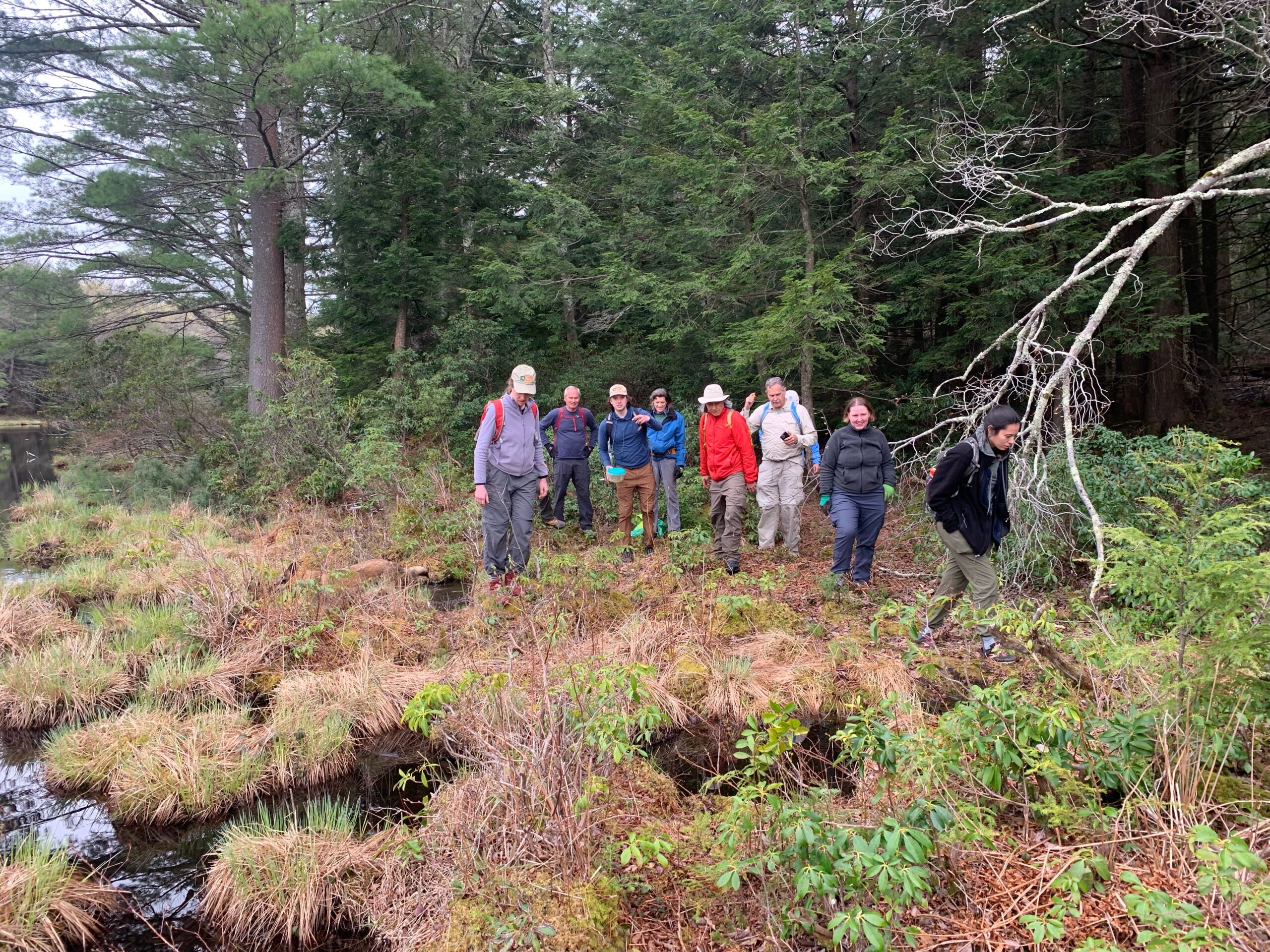 June Hike at Conwell