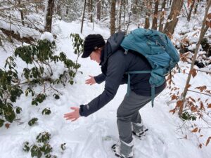 Event leader, Jess Applin, crouching in the snow next to coyote tracks with her arms stretched marking the size of the animal in the forest.