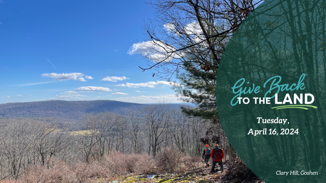 A blue sky and puffy white clouds soar over distant purple hills, seen from the viewpoint at Briar Hill next to Clary Hill. Two people head downhill, shaded by pine trees. Overlaid is a transparent green semicircle with the Give Back to the Land Day logo and the text "Tuesday, April 16, 2024. Clary Hill, Goshen."