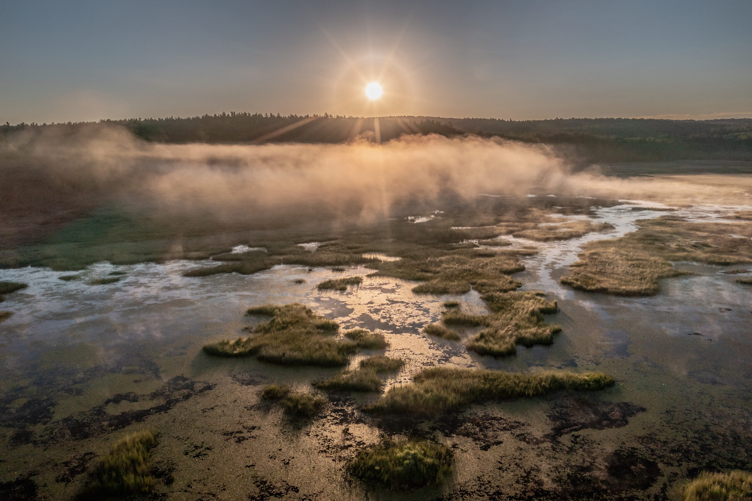 Hilltown Land Trust | 160 Acres of Wetlands, Trails, & Glacial Boulders ...