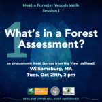 What’s in a Forest Assessment? Meet a Forester Woods Walk