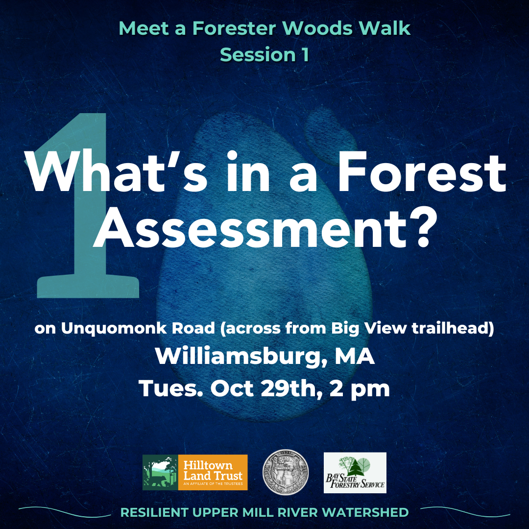 What’s in a Forest Assessment? Meet a Forester Woods Walk