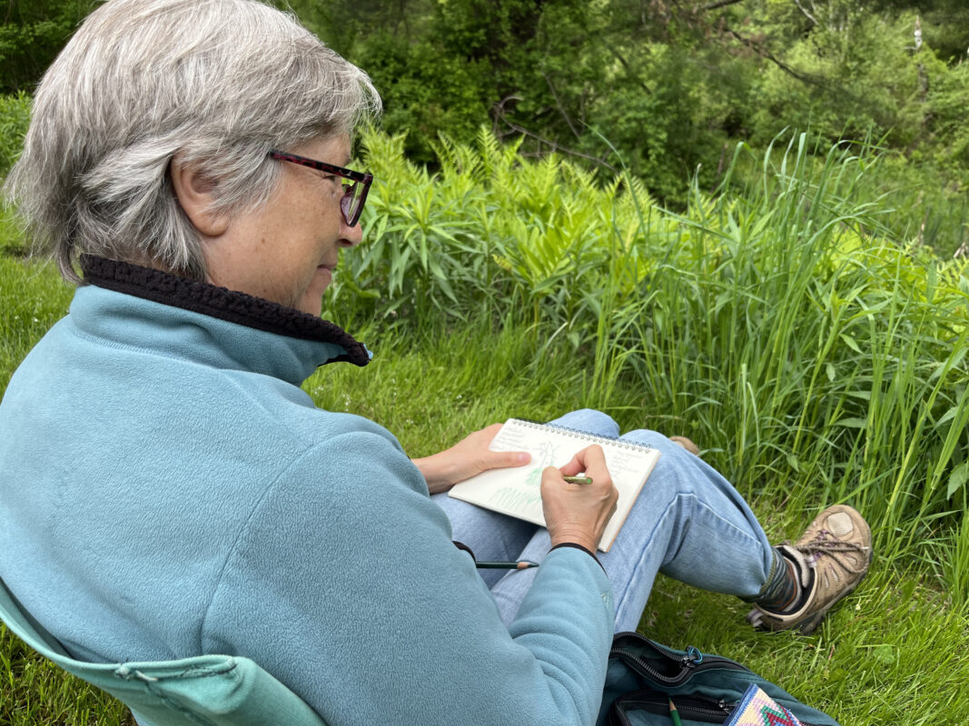 Women sits in a lawn chair at the edge of a field facing lush green ferns and drawing in her notebook.