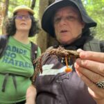 Two women in the frame standing in the woods. One on the right wearing a grey shirt and grey bucket hat is holding bark upside down with a small bright orange Waxy Cap mushroom.