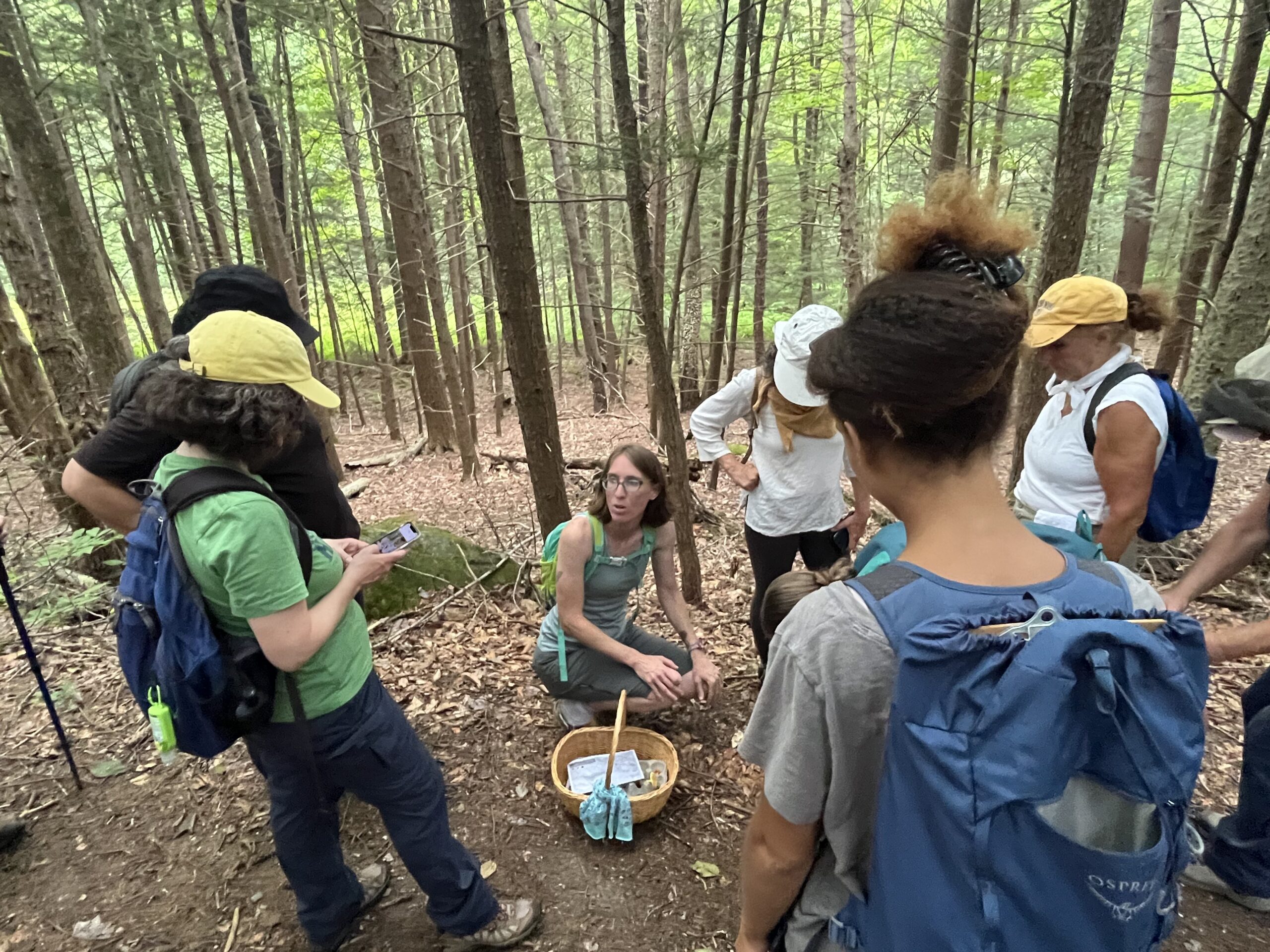 Hikers in the woods are circling around Jess Evans who is crouched to the ground holding a knife and harvesting a creamy brown colored mushroom from the base of the stem. 