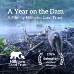 A Year on the Dam Short Film Premiere