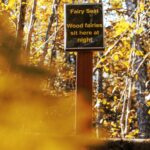 A brown trail sign reading "Fairy Seat: Wood fairies sit here at night" in front of light-soaked fall foliage.