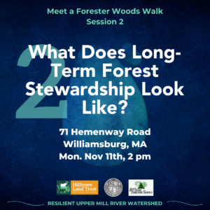 "What Does Long-Term Forest Stewardship Look Like?" event square, with the text "Meet a Forester Woods Walk Session 2, 71 Hemenway Road Williamsburg, MA Tues. Oct 29th, 2 pm." Below are the logos for Hilltown Land Trust, the town of Williamsburg, and Bay State Forestry, followed up the text "Resilient Upper Mill Watershed."