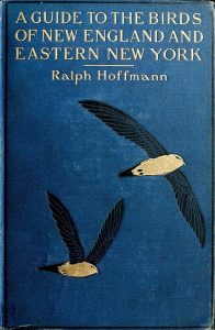 image_hoffmann_book_cover