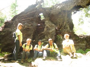 The YCC takes a break from bushwhacking at a magnificent windfall.